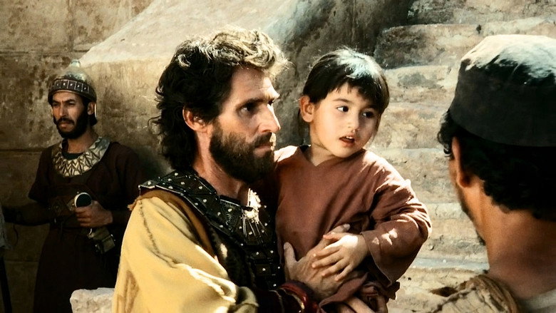 Solomon still 7
