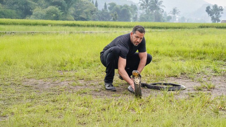 David Blaine: Do Not Attempt still 4
