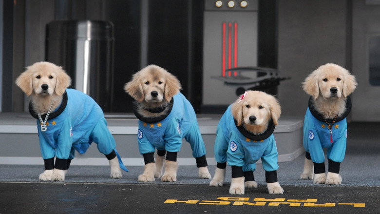 Pup Academy still 3