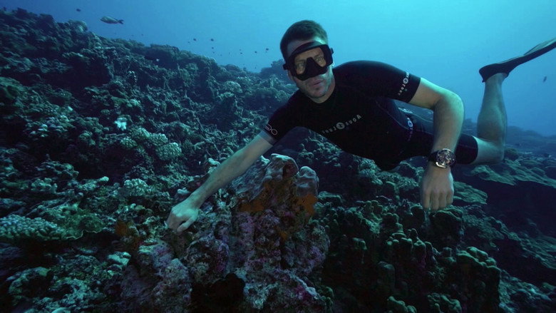 700 Sharks (Gombessa 4, Genesis) still 7