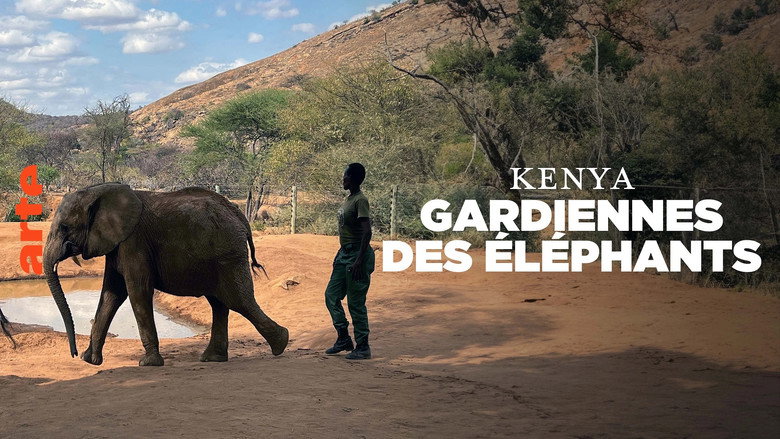 Kenya - Gardiennes des éléphants still 1