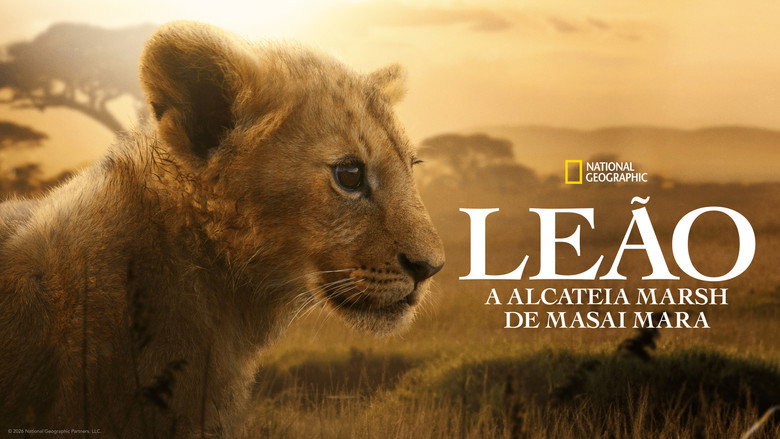 Lion still 5