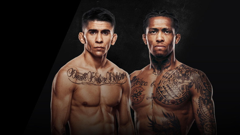 UFC Fight Night 266: Bautista vs. Oliveira still 4