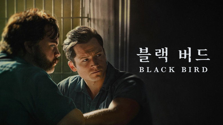 Black Bird still 7