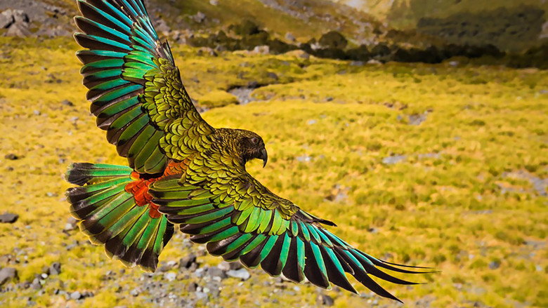 New Zealand: Earth's Mythical Islands still 4