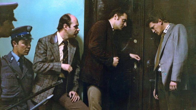 Wściekły still 5