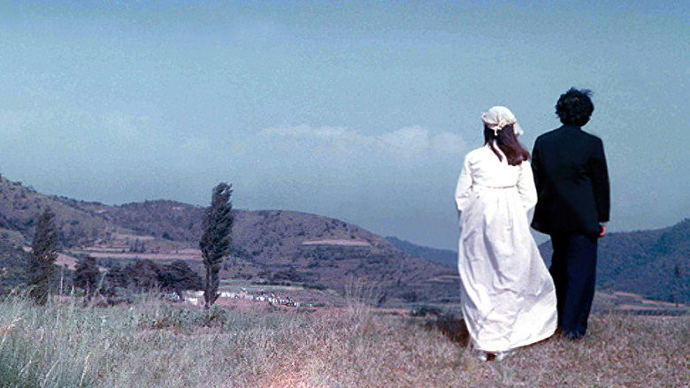 Genealogy still 1