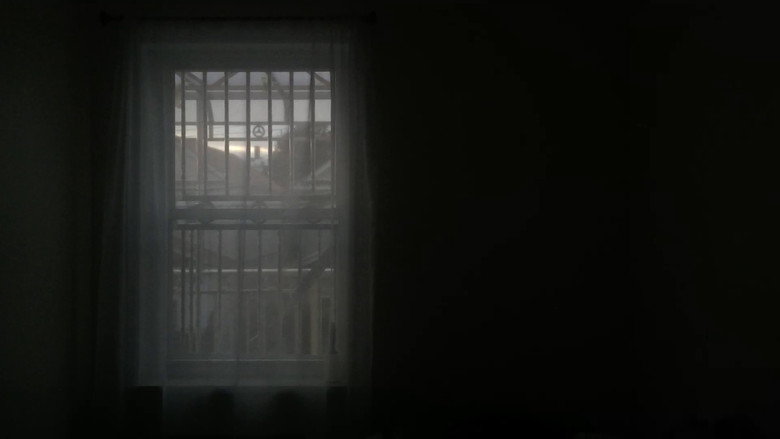 The Grandmother Dream still 1