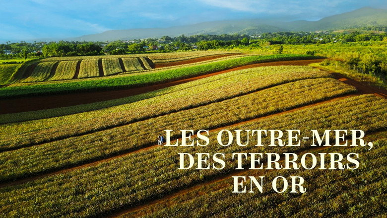 Les Outre-mer, des terroirs en or still 3