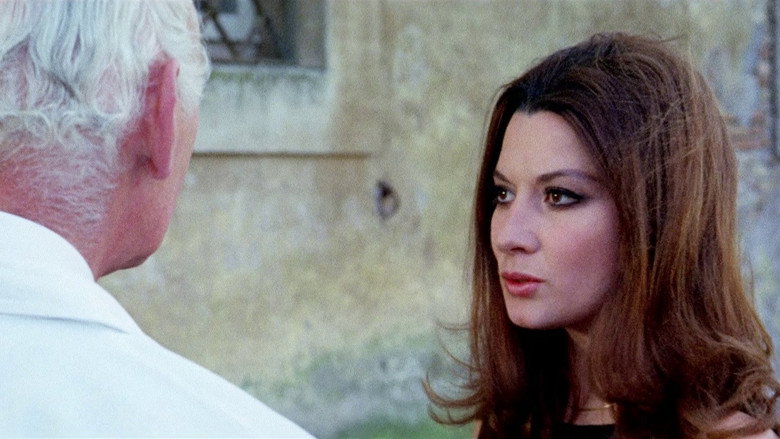 Slaughter Hotel still 7