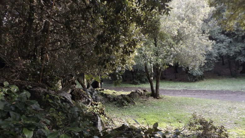 Oblio still 6