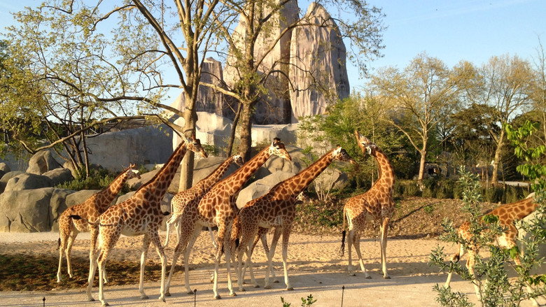 Paris Zoo: An Insider's View still 1