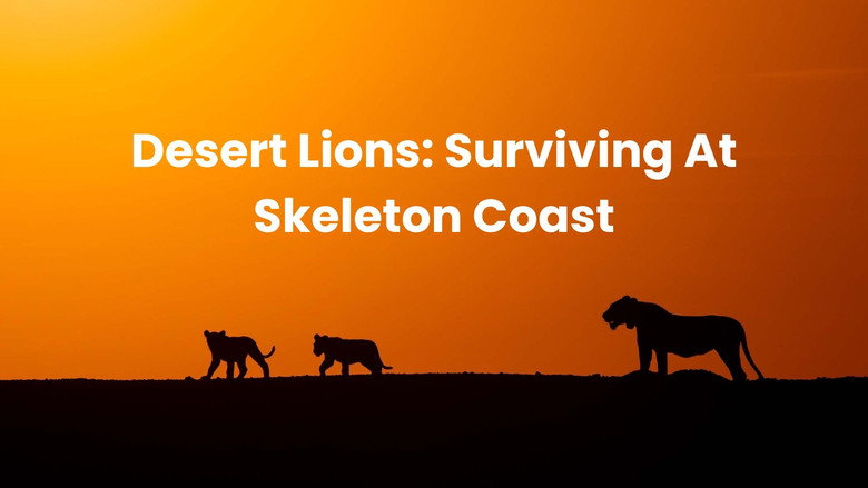 Lions of the Skeleton Coast still 5