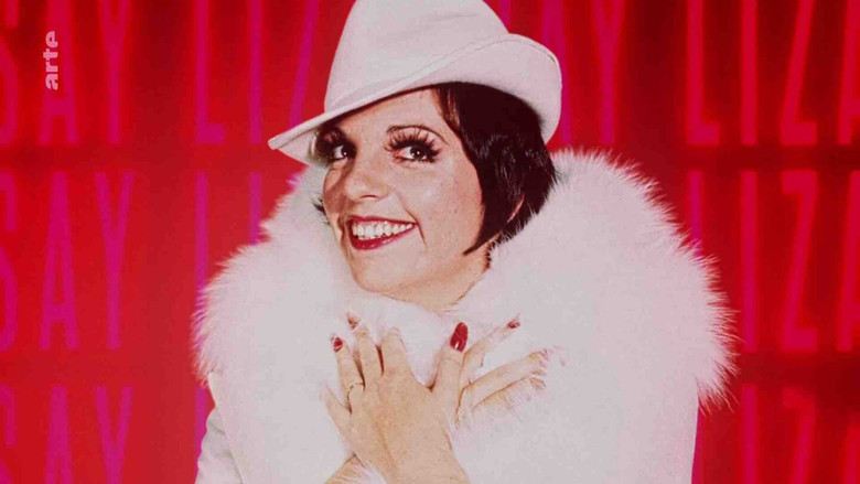 Liza Minnelli, la dernière héritière d'Hollywood still 5