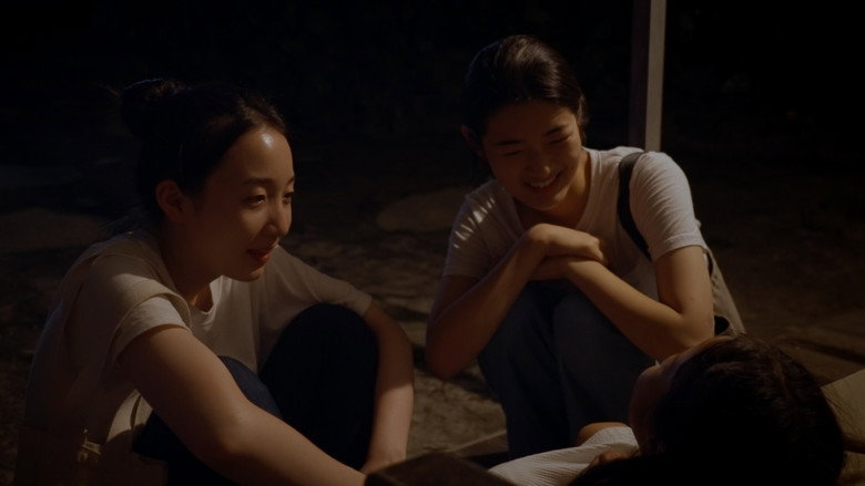 Shine still 3