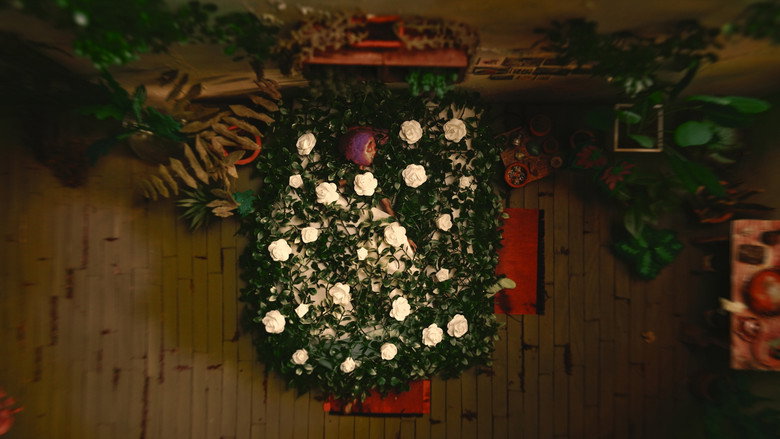 Las plantas también mueren still 1