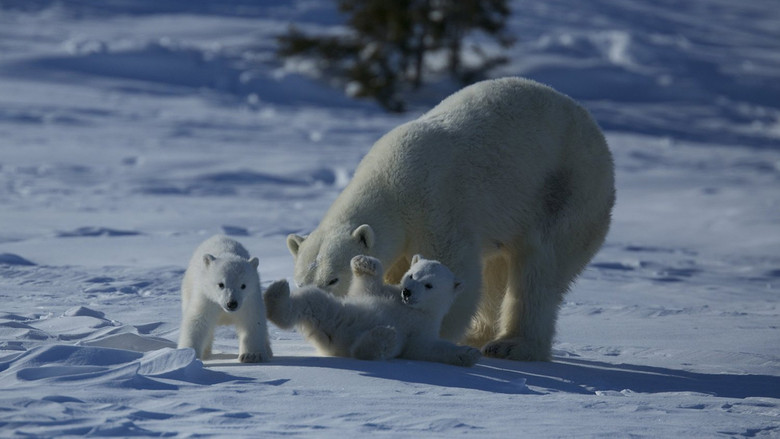 Wild Canada still 2