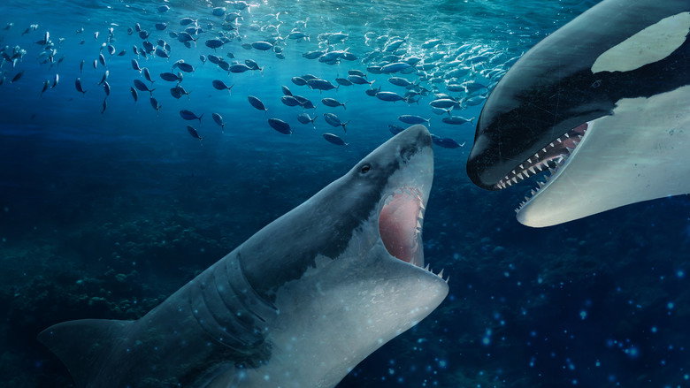 Orca Vs. Great White still 1