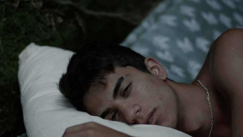 Just Like Arcadia still 7
