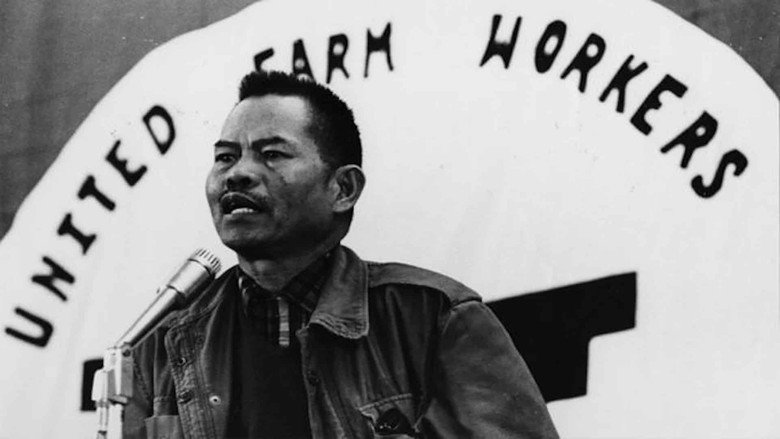 The Delano Manongs: Forgotten Heroes Of The United Farm Workers Movement still 1