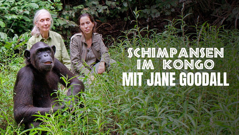 Rescued Chimpanzees of the Congo with Jane Goodall still 1