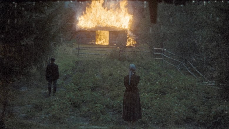 Mirror still 1
