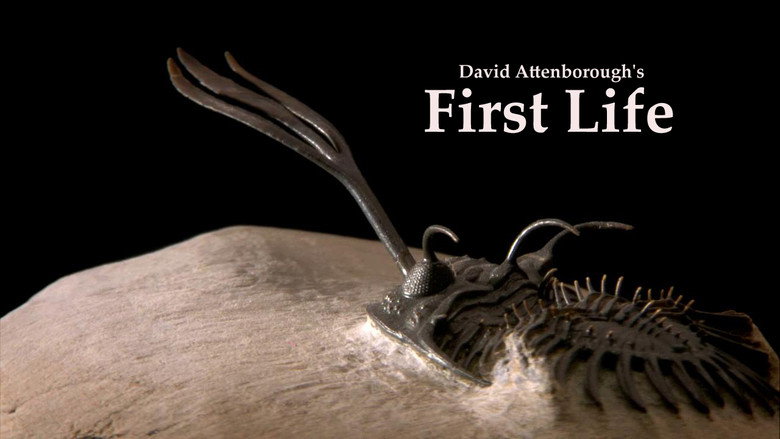 First Life still 3