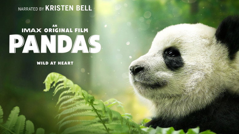 Pandas still 4