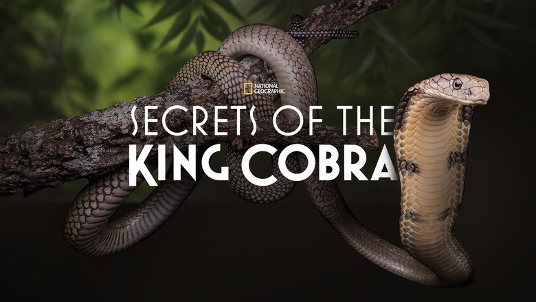 Secrets of the King Cobra still 3