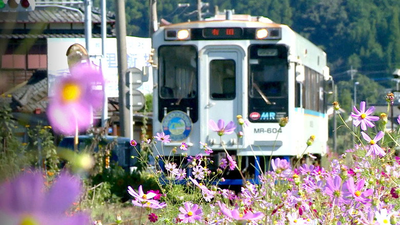 Train Cruise still 2