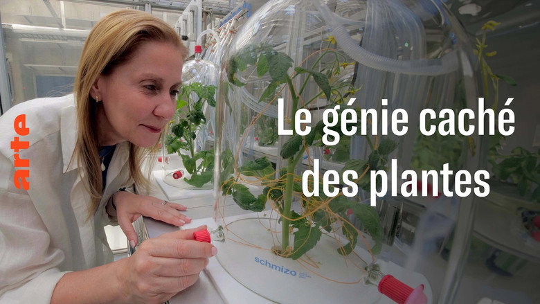 The amazing abilities of plants still 1