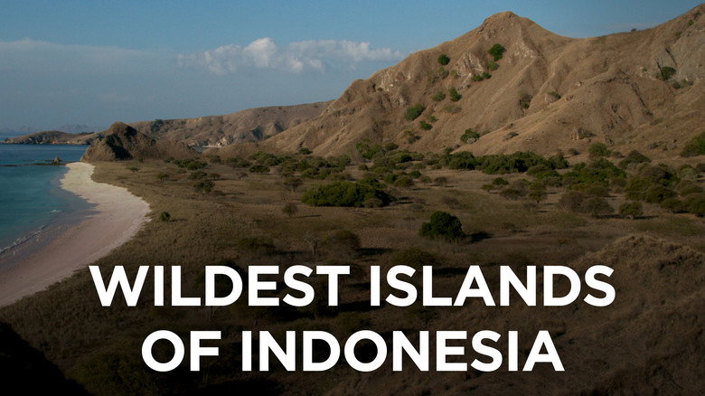 Wildest Islands of Indonesia still 2