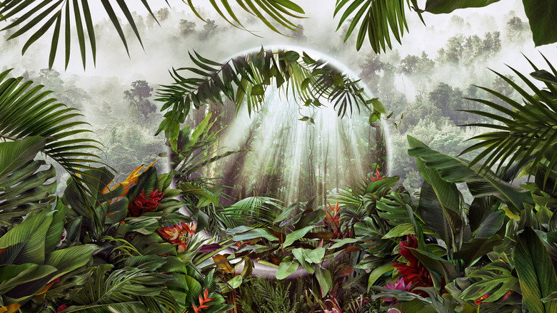 The Green Planet still 2