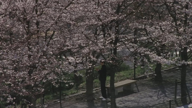 Blue Spring still 7