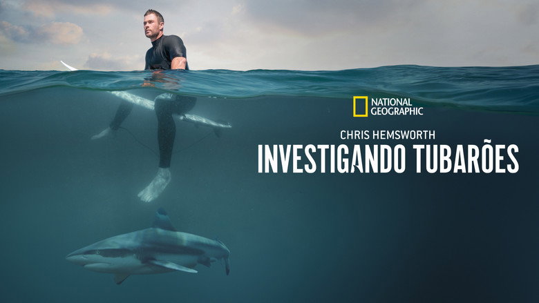 Shark Beach with Chris Hemsworth still 7