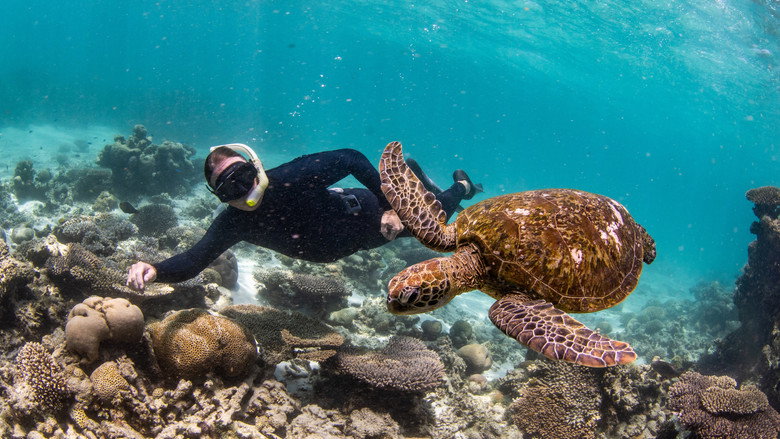 Ningaloo Nyinggulu still 5