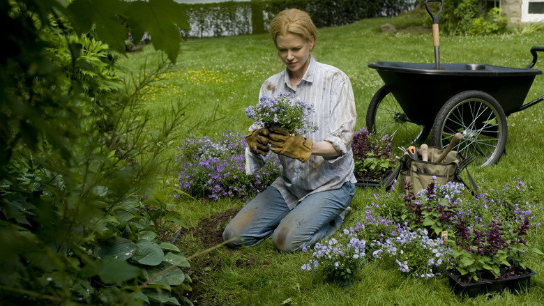 Rabbit Hole still 4