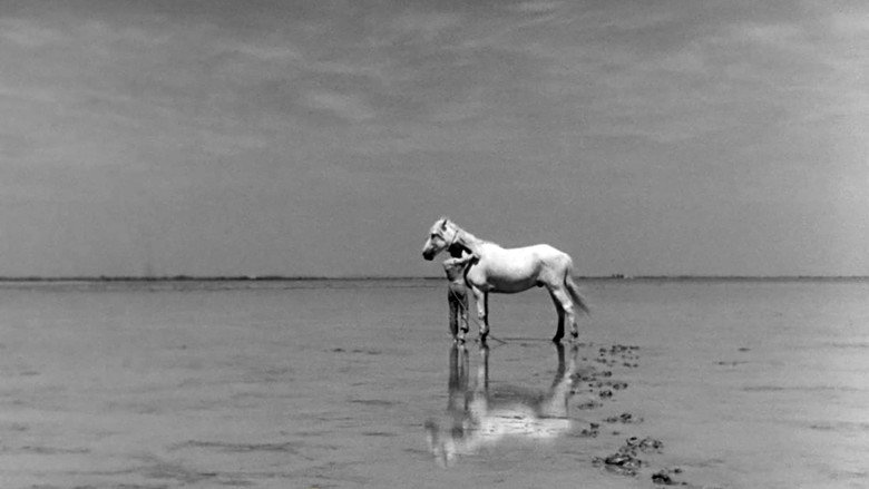 White Mane still 5