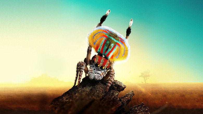 Magical Land of Oz still 1