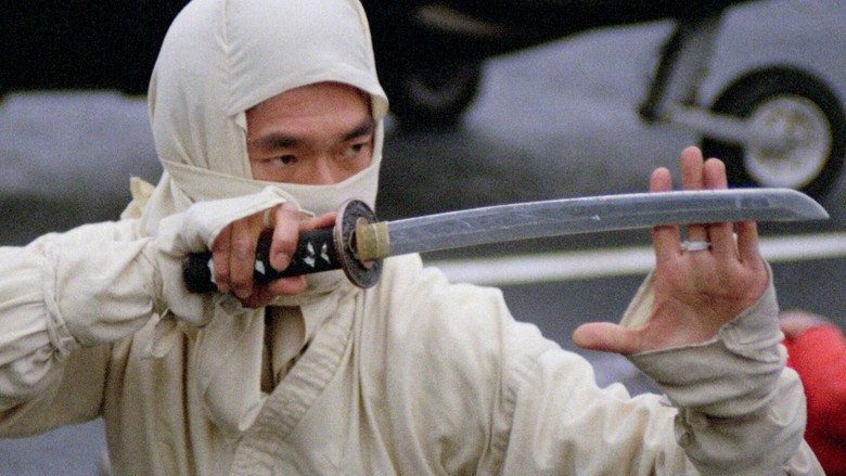 New York Ninja still 3