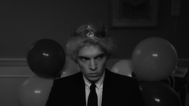 Hippo still 2
