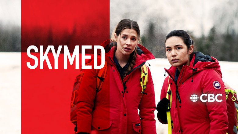 SkyMed still 3
