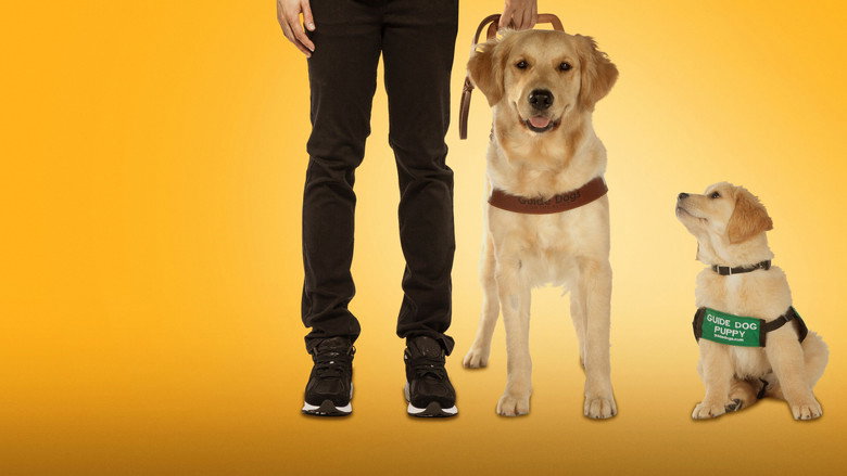 Pick of the Litter still 1