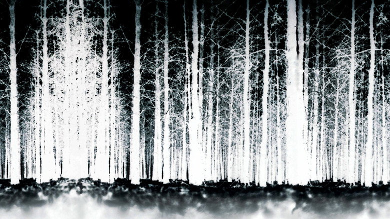 The Blair Witch Project still 5
