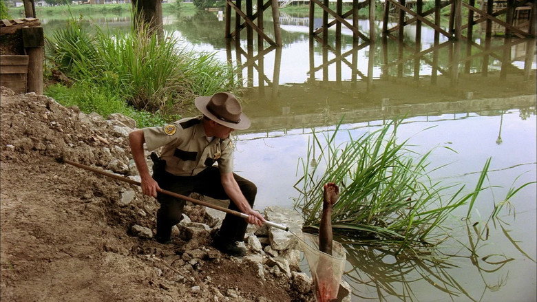 Swamp Shark still 5