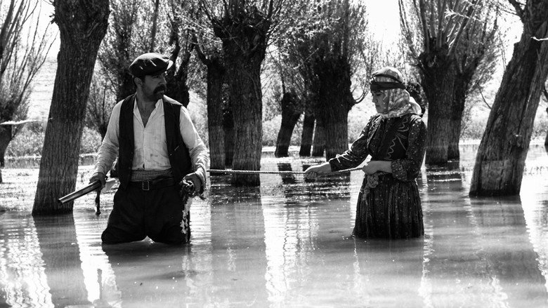 The Well still 3