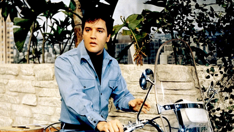 Clambake still 1