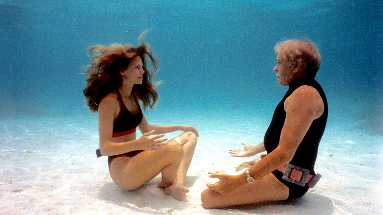Dolphin Man still 3