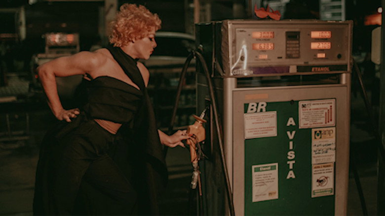 Flamboyants still 1