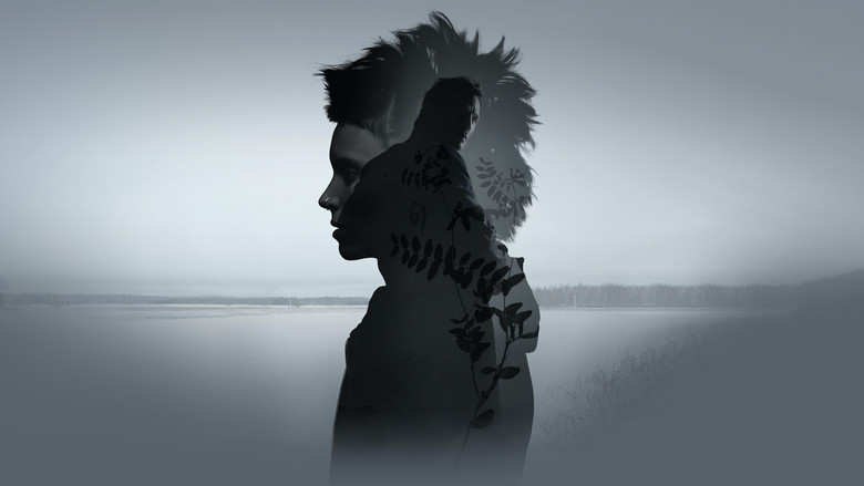 The Girl with the Dragon Tattoo still 1
